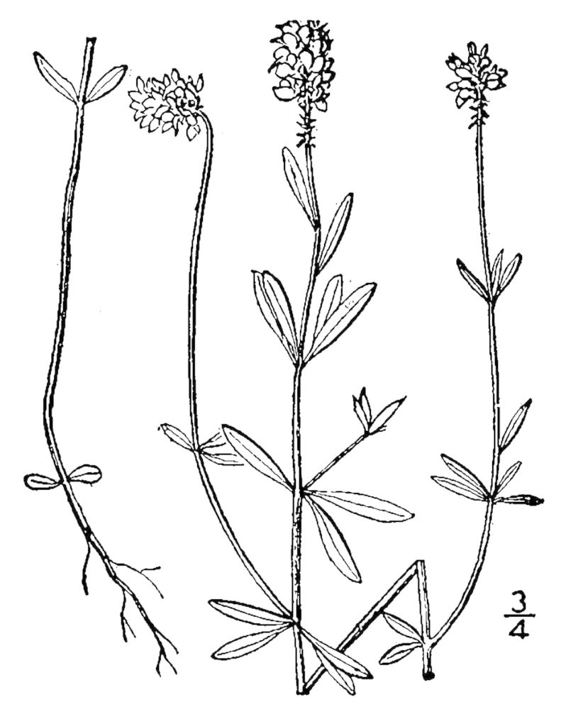 Figure 236a.
