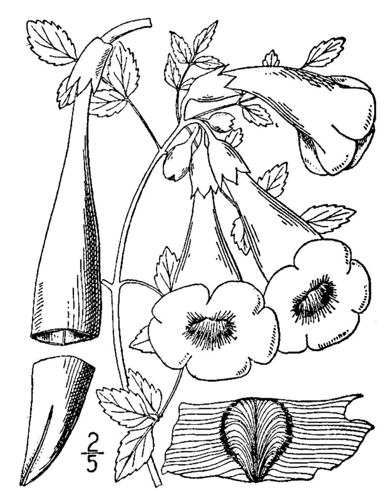 Figure 183.