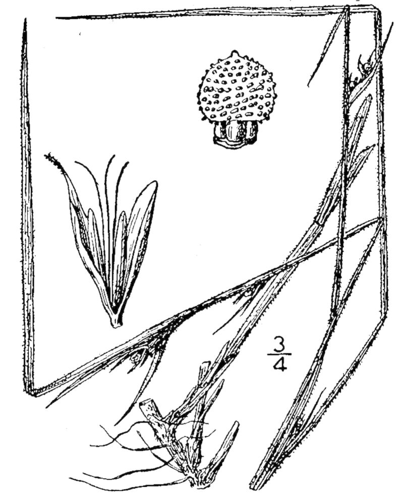Figure 46a.