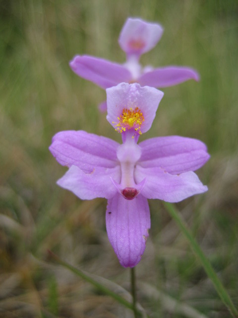Figure 62a.