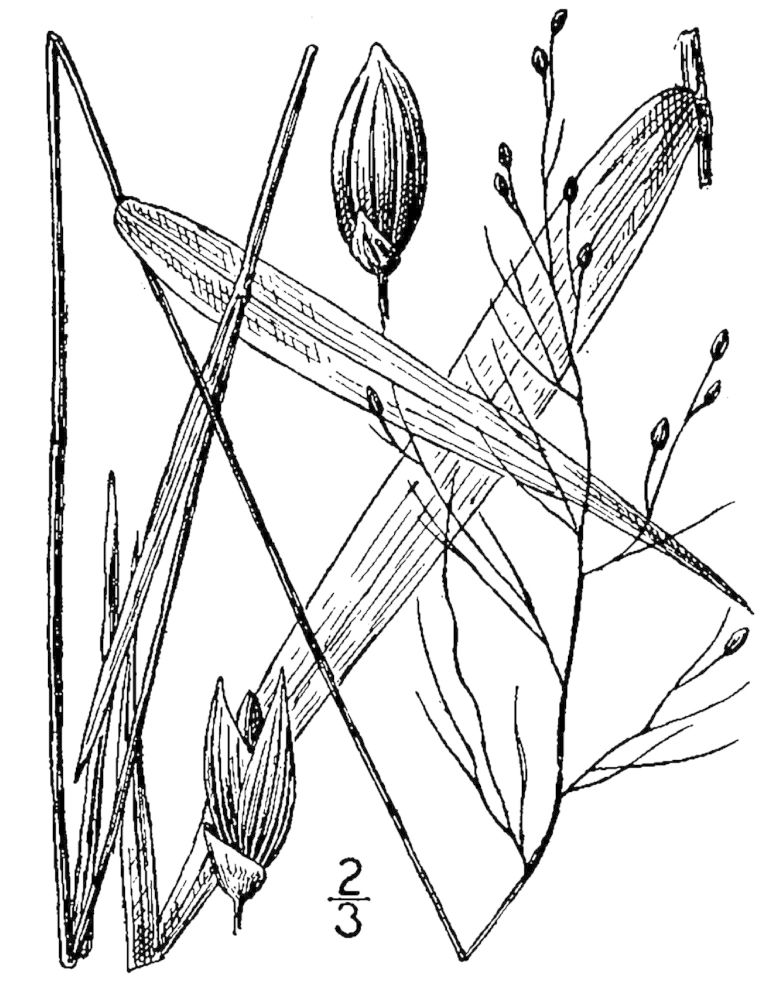 Figure 85d.