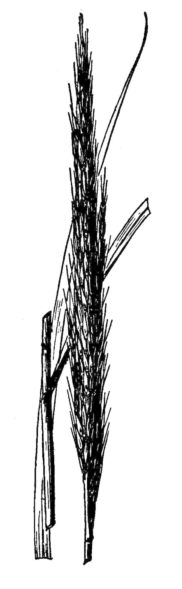 Figure 91a.