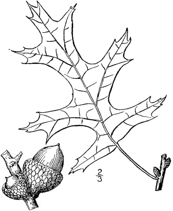 Figure 212a.