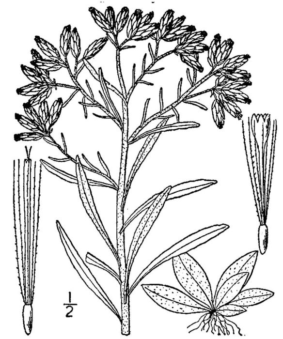 Figure 152.