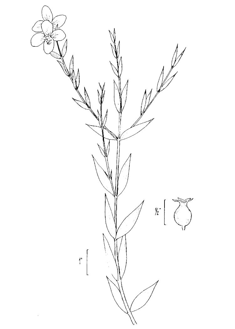 Figure 229a.