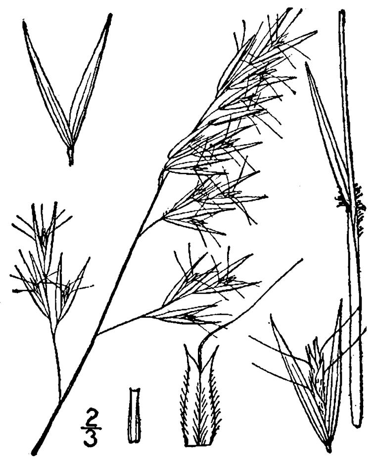 Figure 75.
