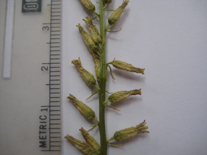 Figure 60e.
