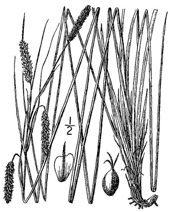 Figure 36a.