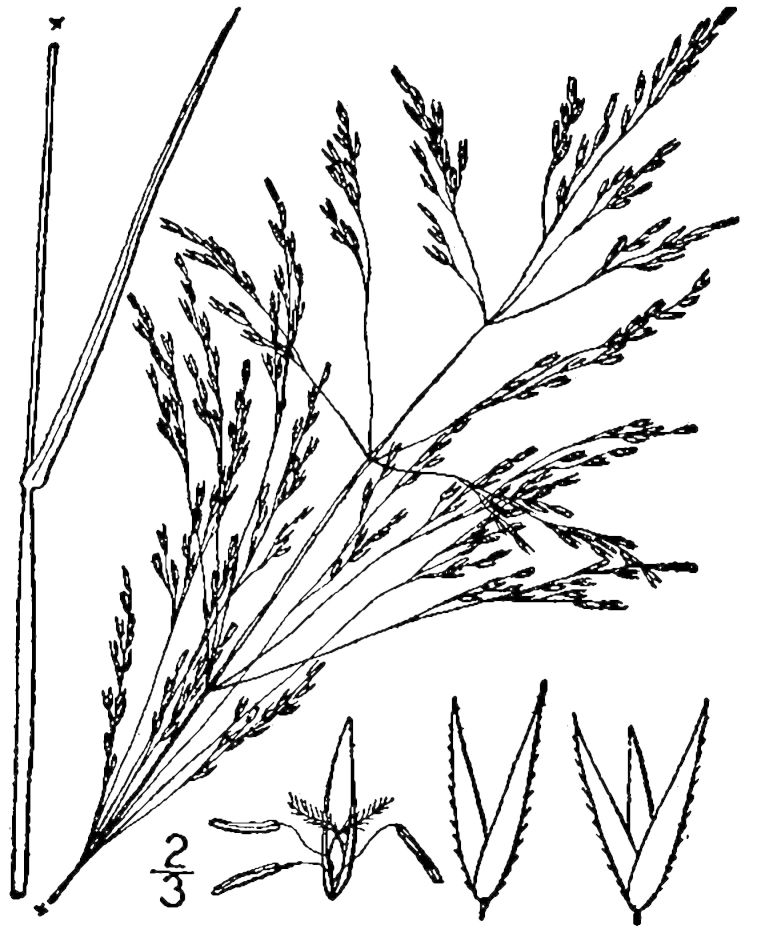 Figure 79b.