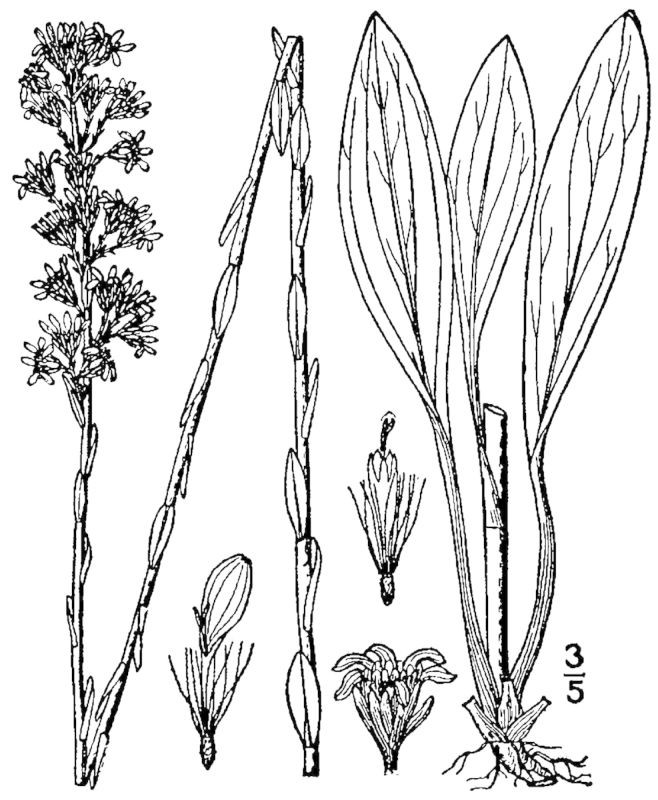 Figure 178e.