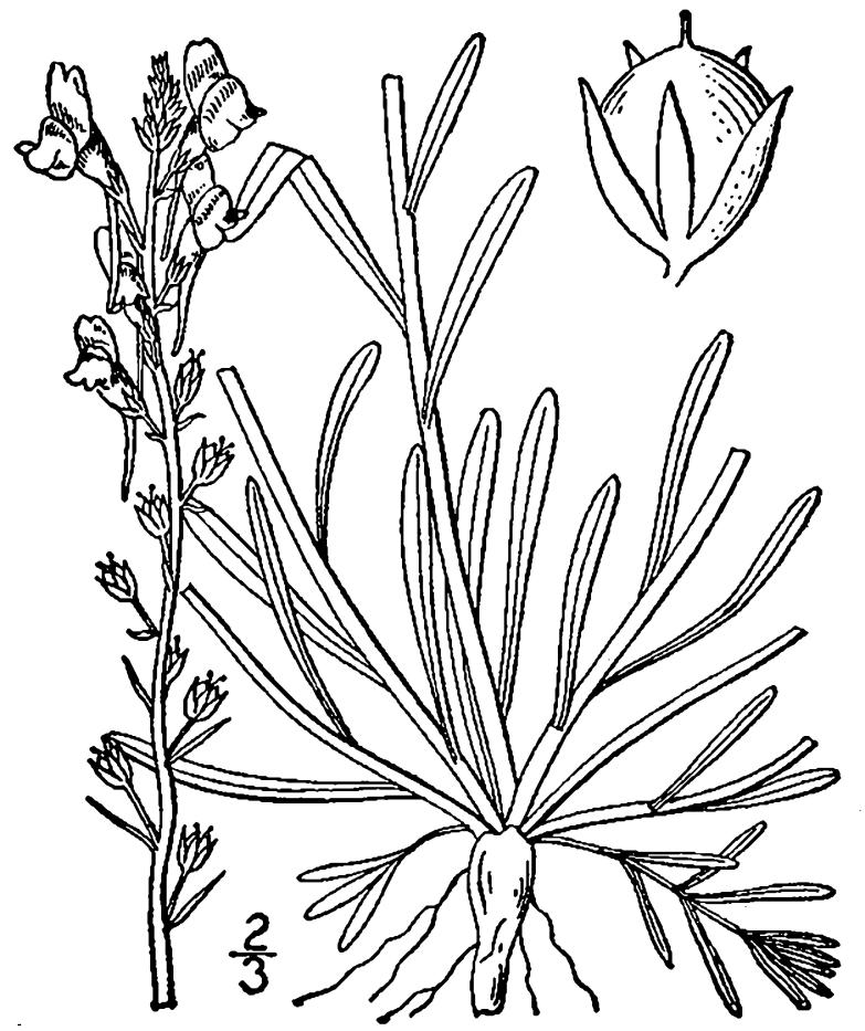 Figure 131.