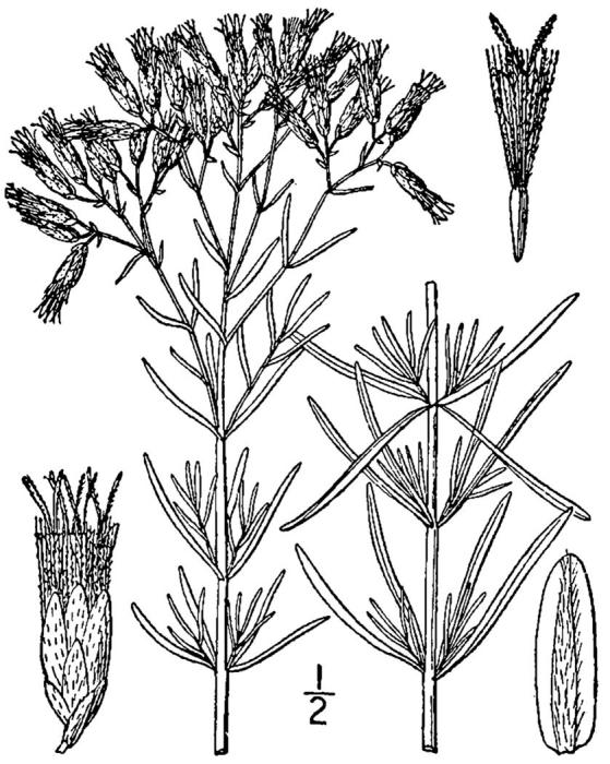 Figure 171b.