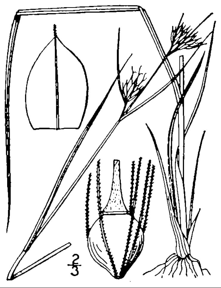 Figure 43e.
