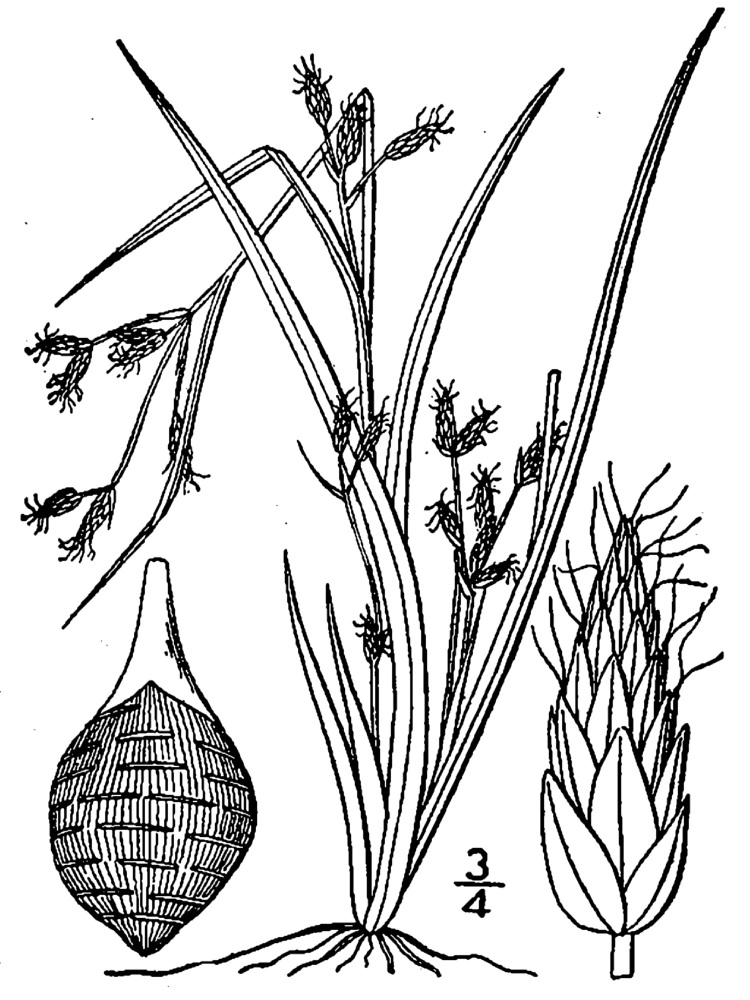 Figure 44e.