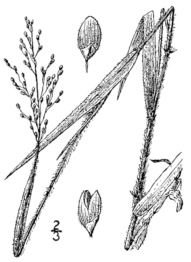 Figure 84d.