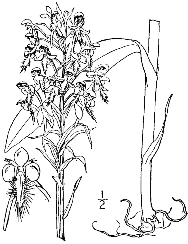 Figure 64b.