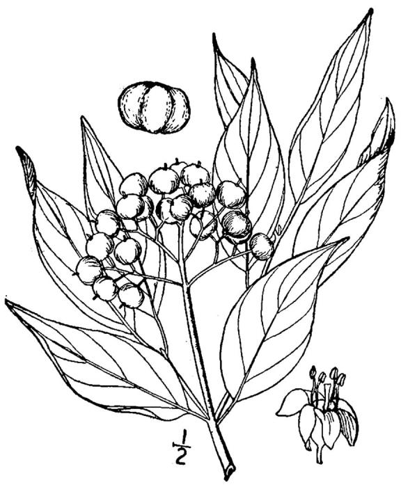 Figure 107.