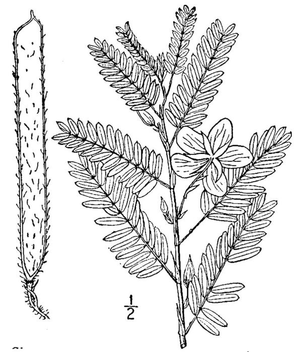 Figure 208a.