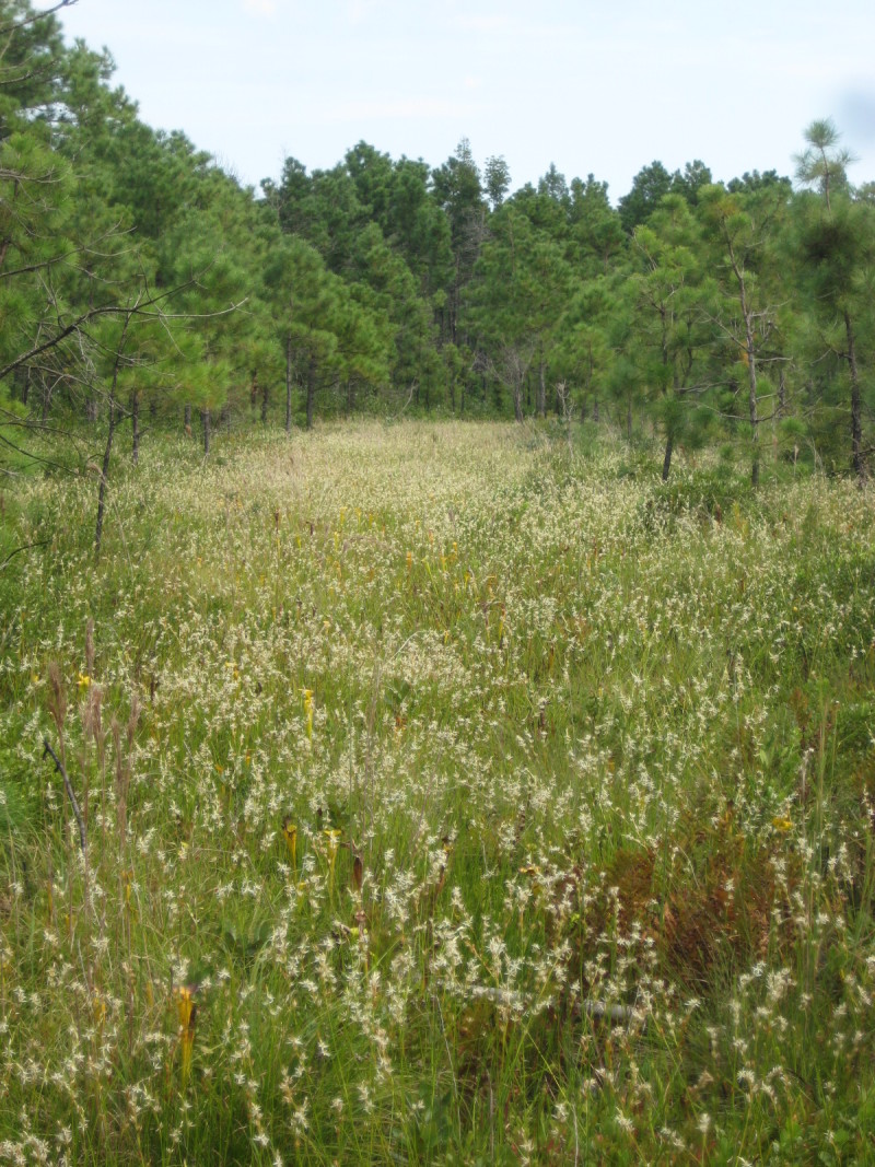 Figure 93a.