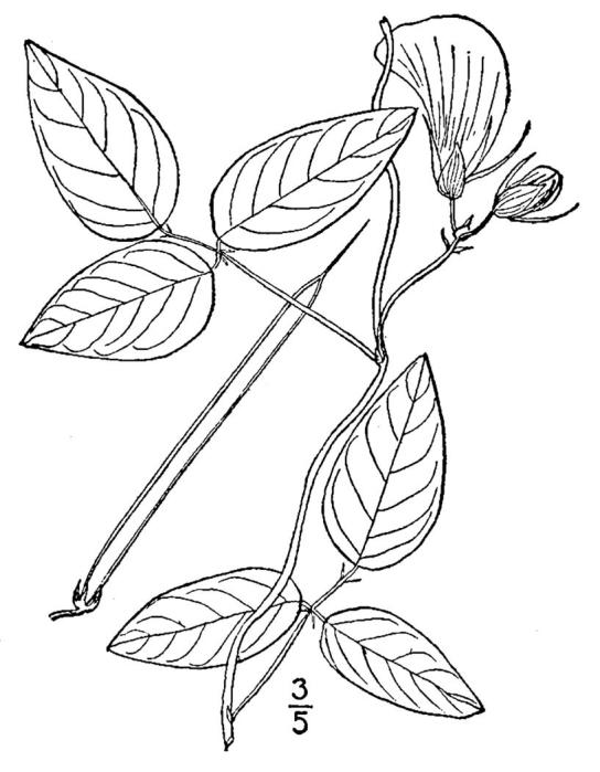 Figure 201.