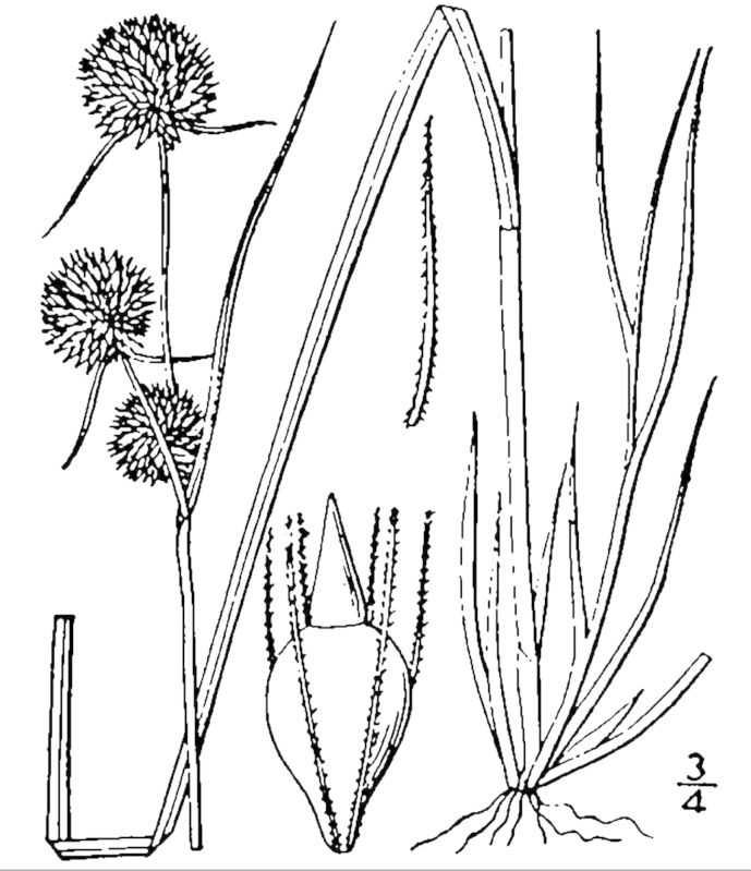 Figure 44a.