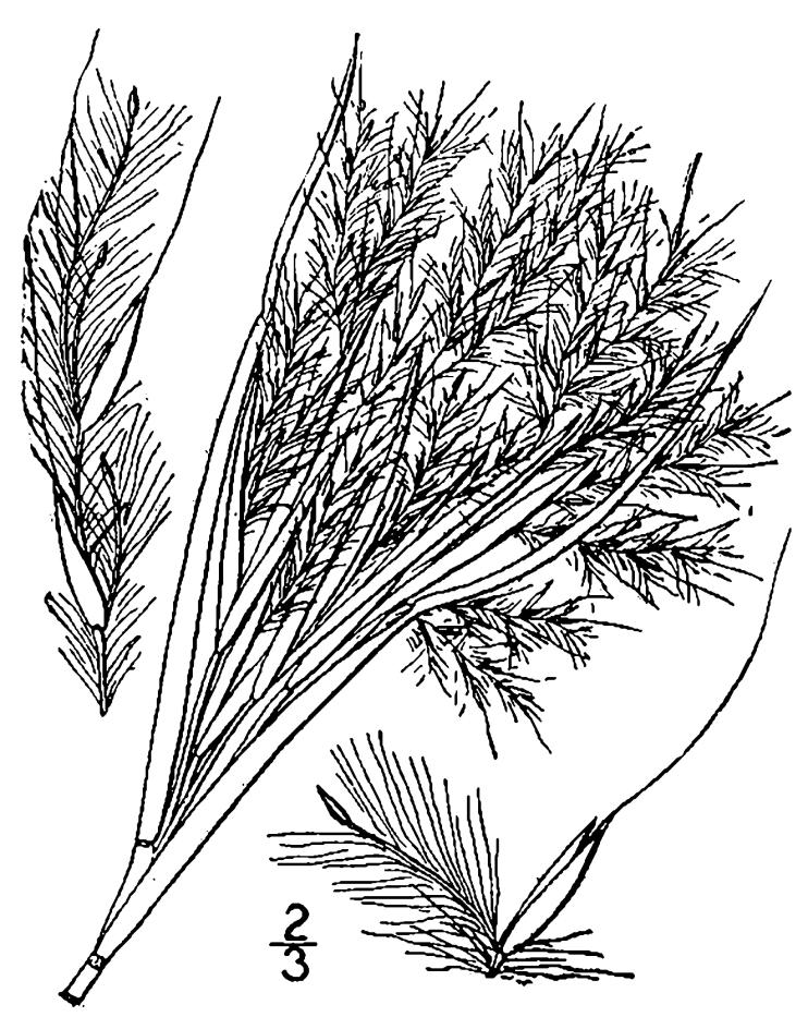 Figure 80b.