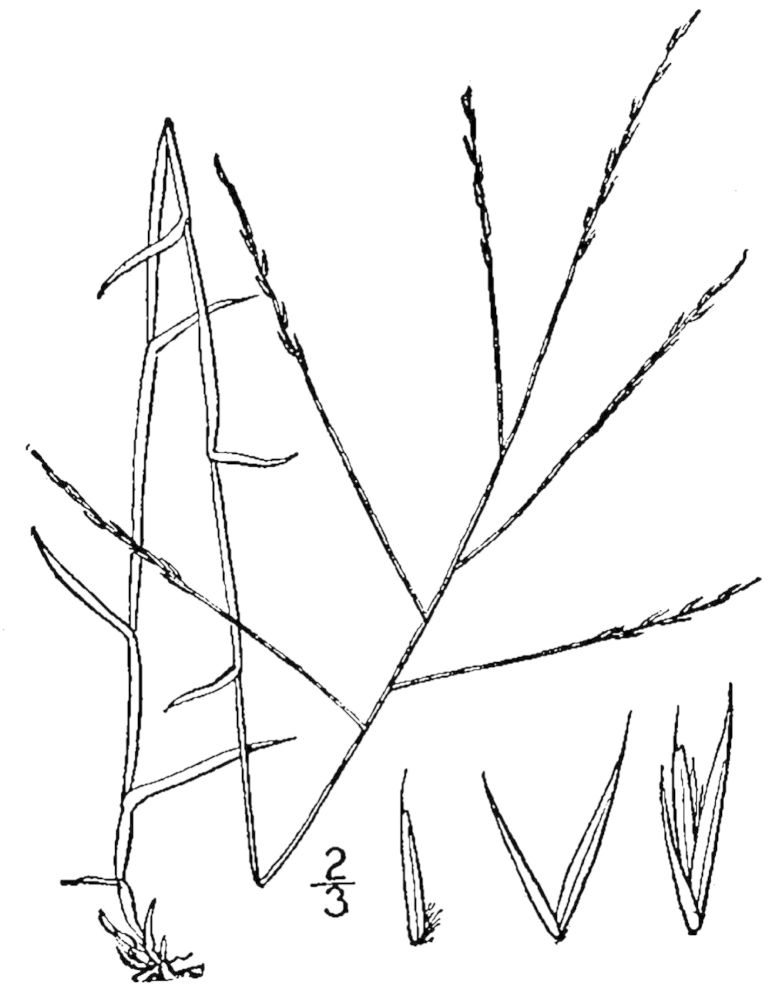 Figure 78.