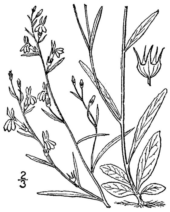 Figure 184e.