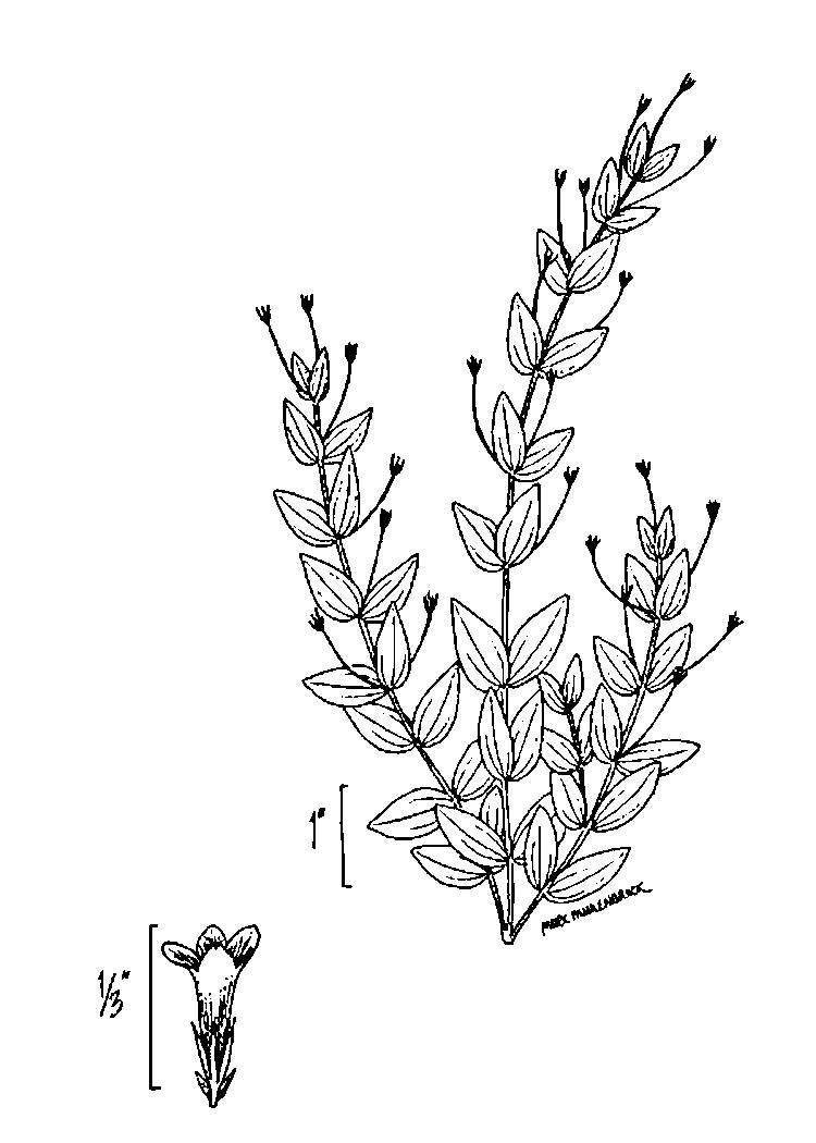 Figure 135.