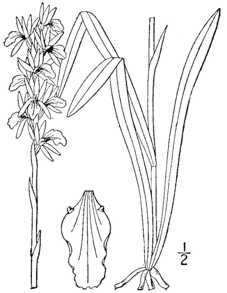 Figure 65a.