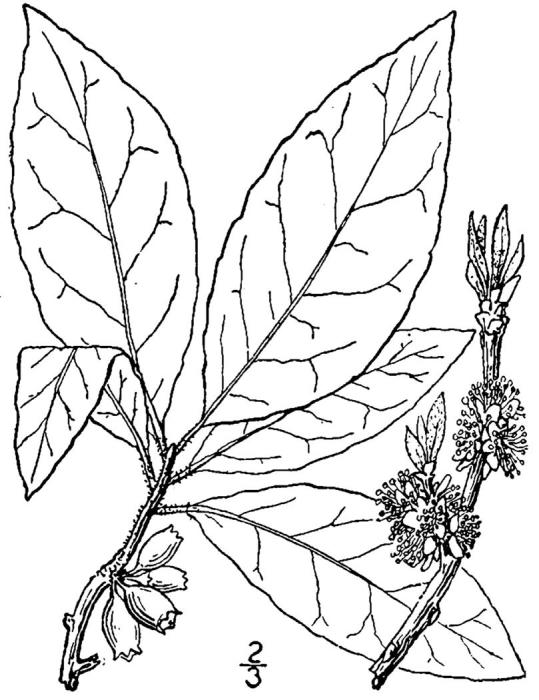 Figure 124.