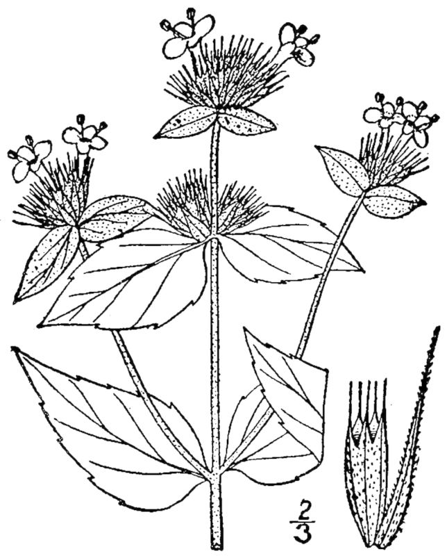 Figure 225c.