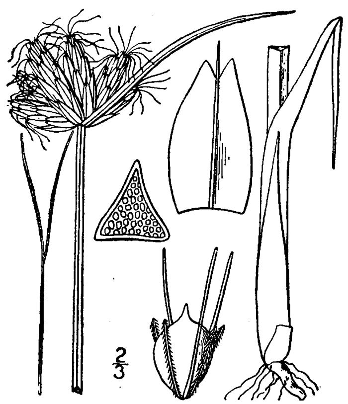 Figure 35.