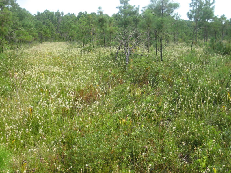 Figure 10a.