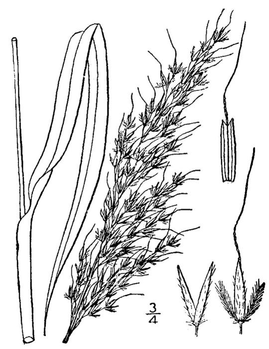 Figure 68.