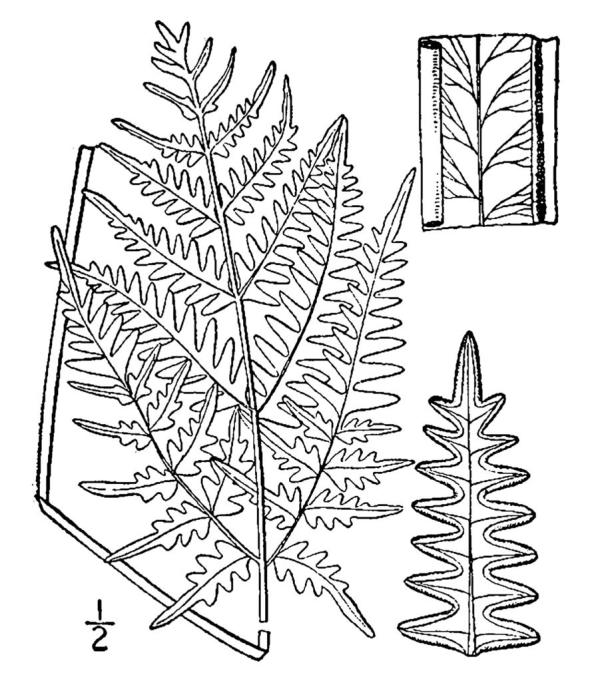 Figure 14a.