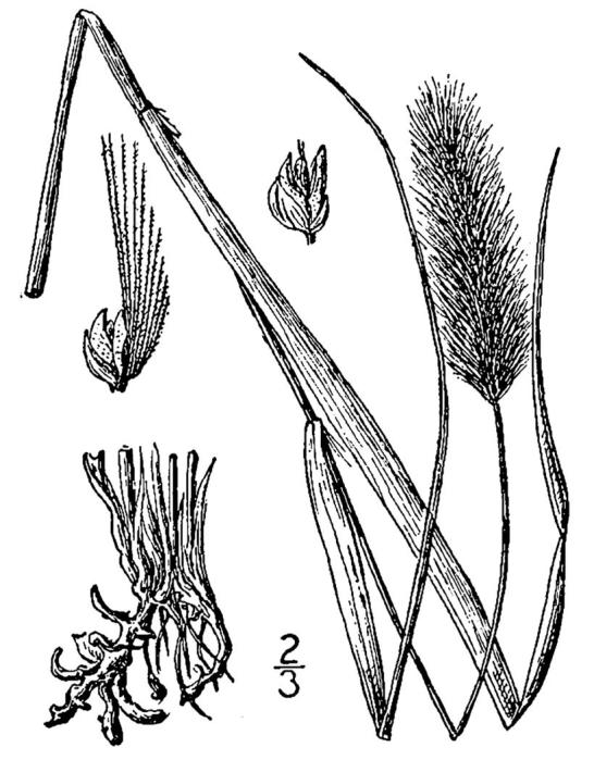 Figure 71.