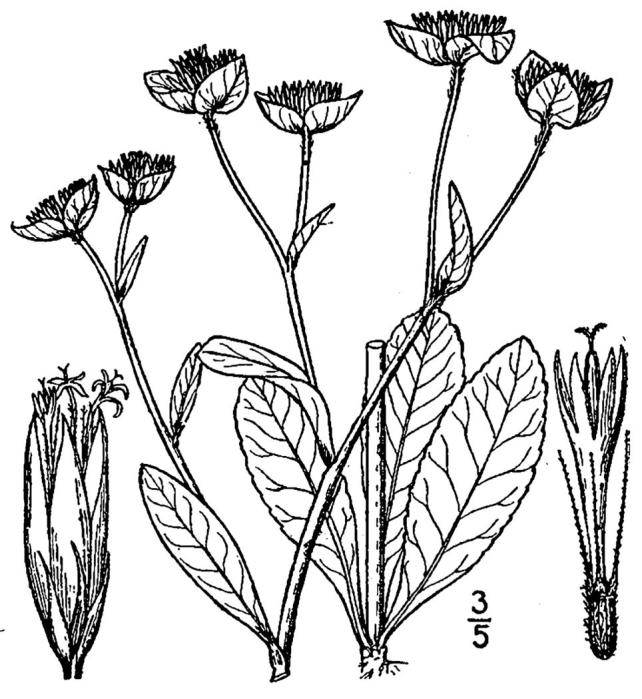 Figure 154a.