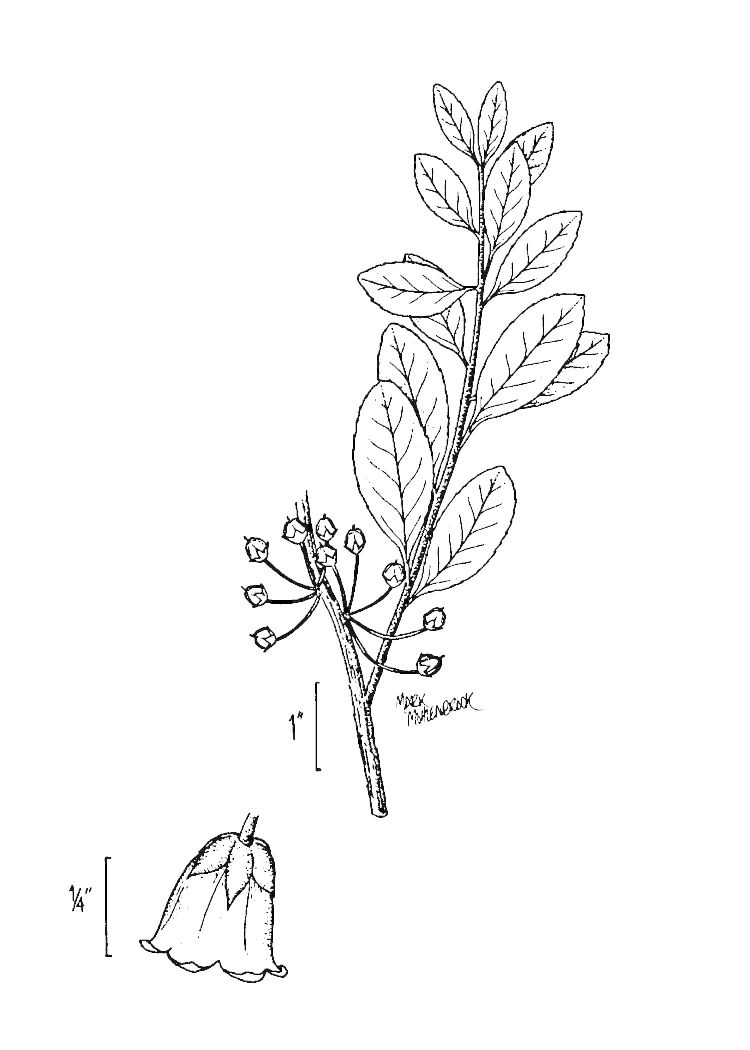 Figure 191a.