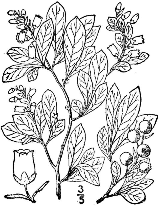 Figure 193a.