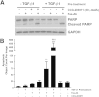 Figure 10