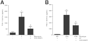 Figure 13