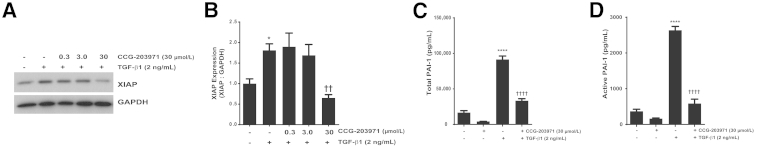 Figure 11