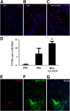 Figure 12