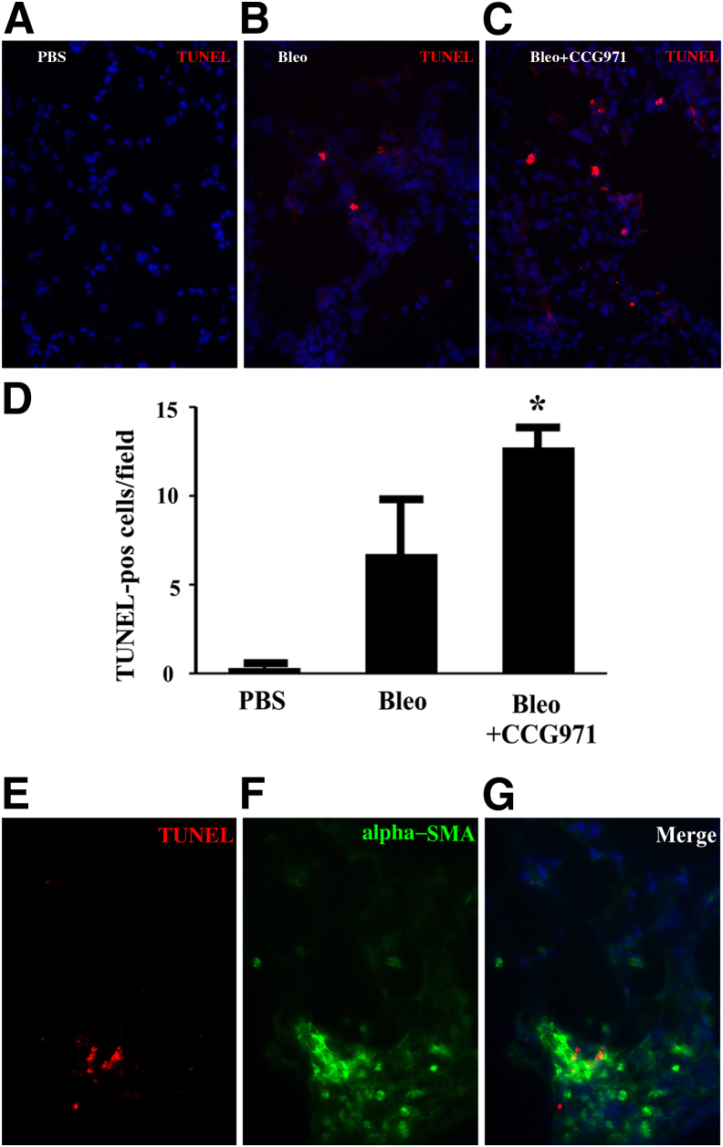 Figure 12