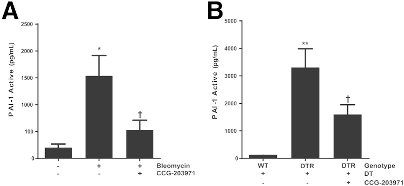 Figure 13