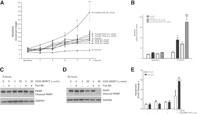 Figure 6