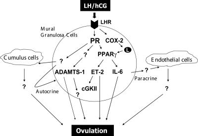 FIG. 10.