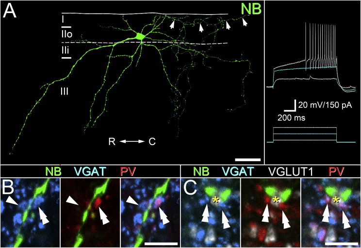 Figure 4