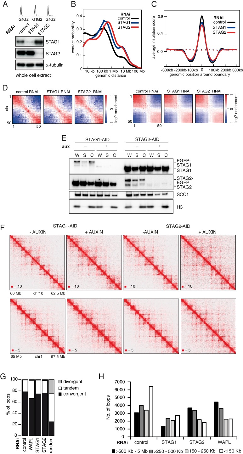 Figure 5—figure supplement 1.